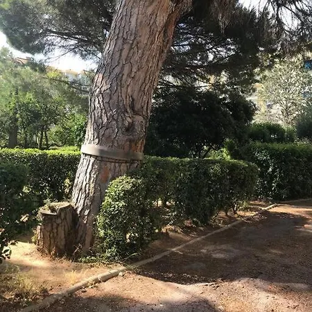 Apartment 5 minutes De La 3 Pieces 4/5 P Frejus